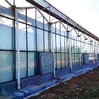 文洛式連棟溫室